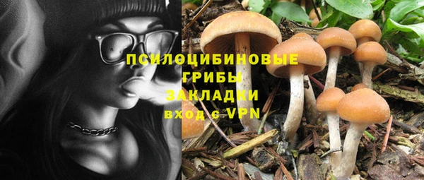 прущая мука Балахна