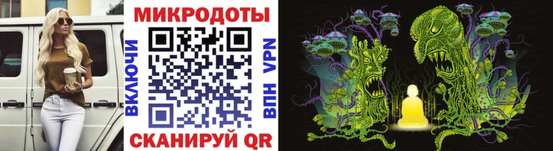 Галлюциногенные грибы Psilocybine cubensis  Яровое 